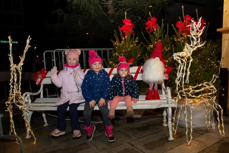 praznične luči _ 2024 (4)